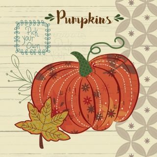 FALL HARVEST PILLOWS