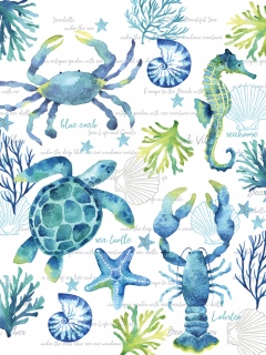 beach vibe coral beach vibe coral