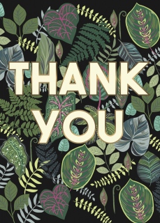 plant lady pots cards