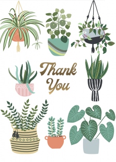 plant lady pots cards