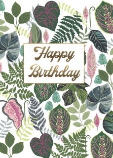 plant lady pots cards