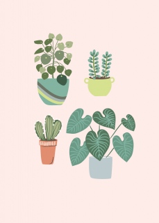 plant lady pots cards