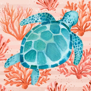 SL-1069d_Square_Turtle