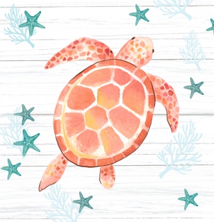 SL-1069i_Tray_Square_PeachTurtle