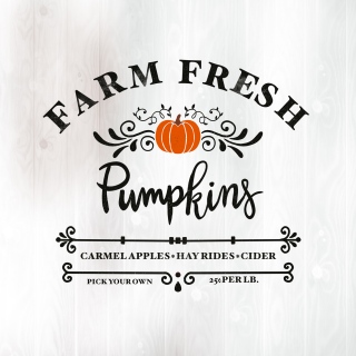 SL-1190x3-Fall-Pumpkin SL-1190x3-Fall-Pumpkin
