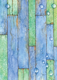 SV-1805_wet_wood