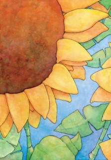 SV-1883a_Sunflower-no-Bee