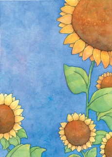 SV-1884-Sunflower-Bees-no-bees