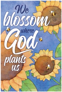 SV-1885-Sunflower-Bees