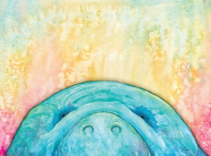 SV-1934-manatee-face SV-1934-manatee-face