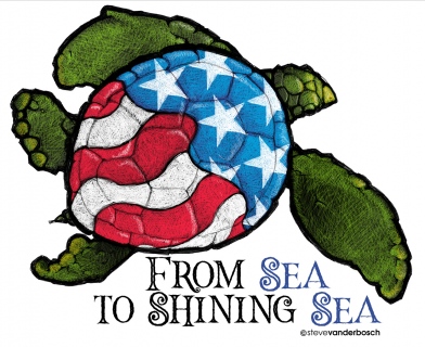 SV-1955_Patriotic-Turtle