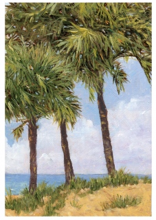 SV-1977-Palms