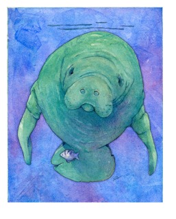 SV-2022a-Manatee-on-blue SV-2022a-Manatee-on-blue