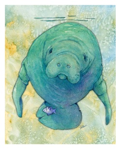 SV-2022c-Manatee-on-green SV-2022c-Manatee-on-green