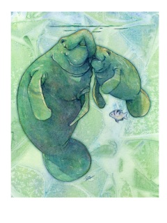 SV-2023-Manatee-and-Baby SV-2023-Manatee-and-Baby