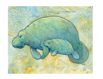 SV-2024-Mom-and-Baby-manatee