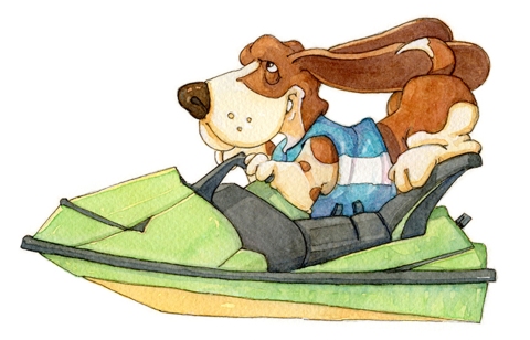 SV-2094-Bassett-Hound-on-jet-ski-lr