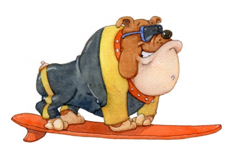 SV-2098-Bulldog-Surfer