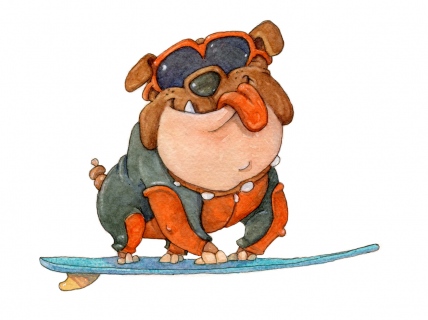 SV-2100-Bulldog-Surfer2