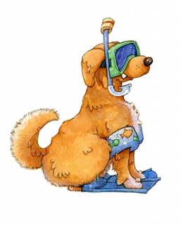 SV-2101-Golden-Retriever-Snorkel-lr