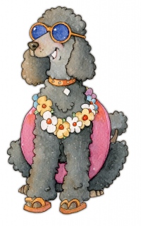 SV-2103-Poodle-Beach