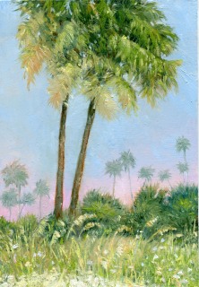 SV-2112-Palm