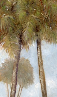 SV-2114-Palms