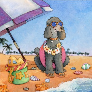 SV-2136-Beach-Poodle