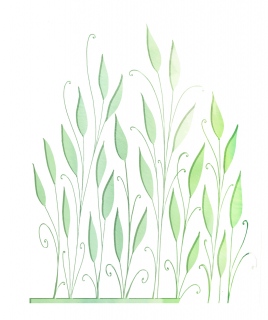 Screen-Shot-2019-12-29-at-12.54.58-AM