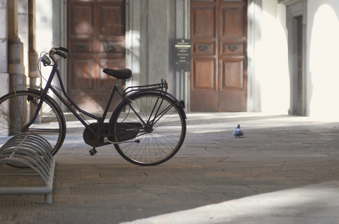 cb-2010-bicyle-bird